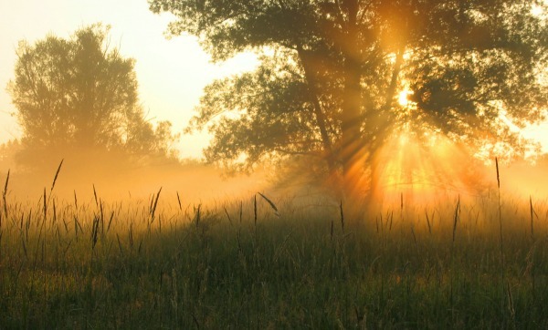 What to Do When We’re Prayerless
