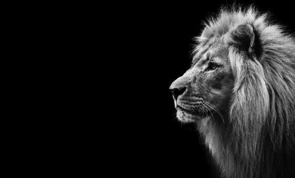 The Secret of Aslan