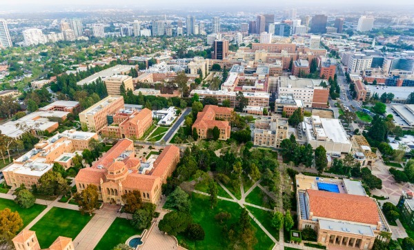 Don’t Waste Your University Years