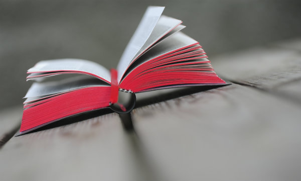 Resolved: To Read the Bible