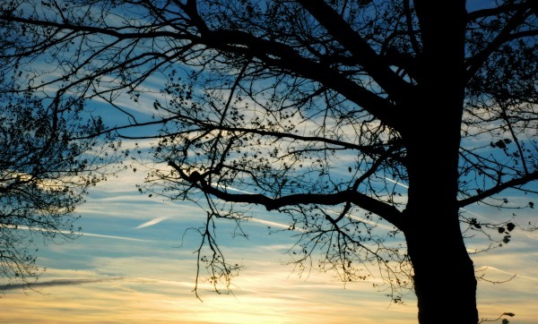 All God-Honoring Sorrow Is Rooted in God-Honoring Joy
