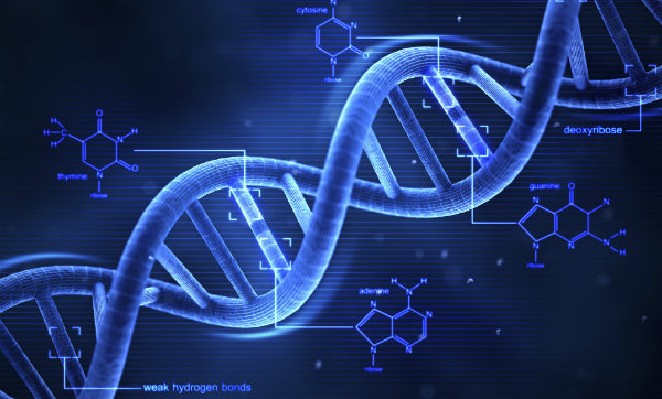 What’s Wrong with Designer Genes?