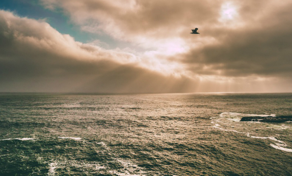 God Brings Us Suffering for Others’ Sake