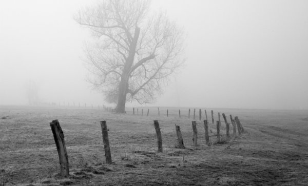 The Loneliness of Suffering